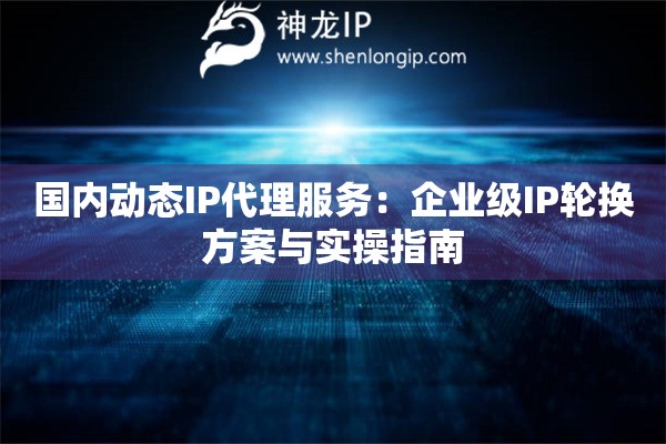 国内动态IP代理服务：企业级IP轮换方案与实操指南