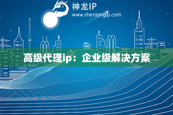 高级代理ip：企业级解决方案