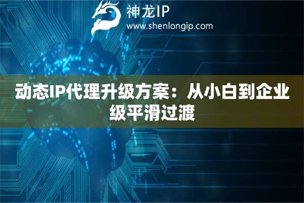 动态IP代理升级方案：从小白到企业级平滑过渡