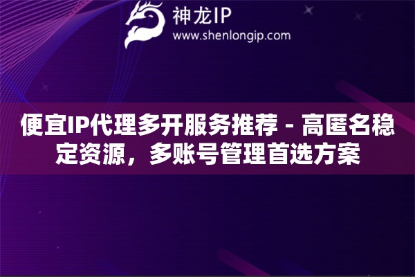 便宜IP代理多开服务推荐 - 高匿名稳定资源，多账号管理首选方案