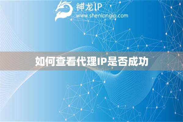 如何查看代理IP是否成功
