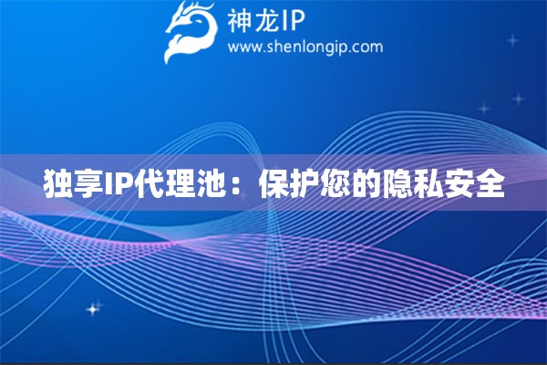 独享IP代理池：保护您的隐私安全