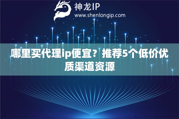 哪里买代理ip便宜？推荐5个低价优质渠道资源