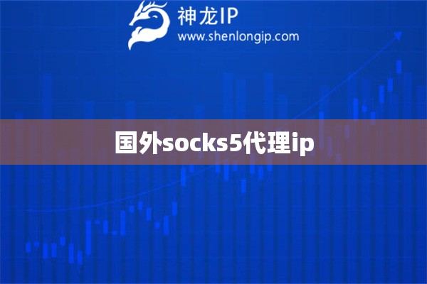 国外socks5代理ip
