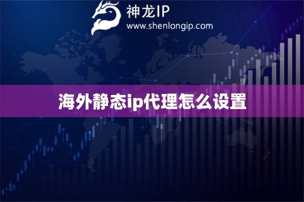 海外静态ip代理怎么设置