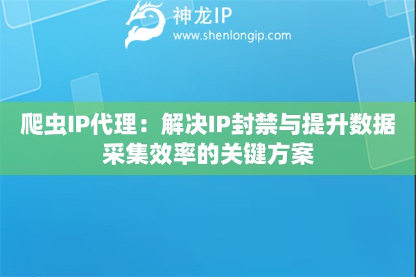 爬虫IP代理：解决IP封禁与提升数据采集效率的关键方案