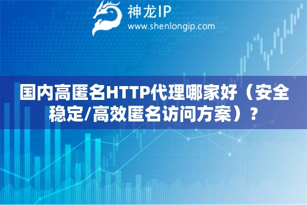 国内高匿名HTTP代理哪家好（安全稳定/高效匿名访问方案）？