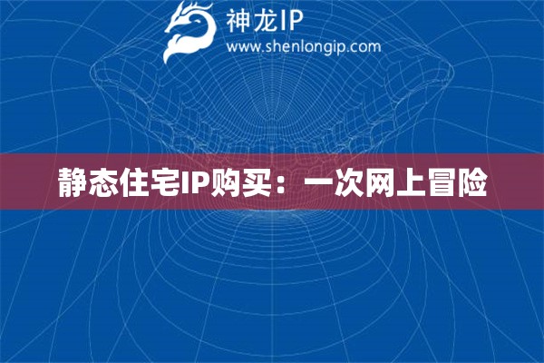 静态住宅IP购买：一次网上冒险