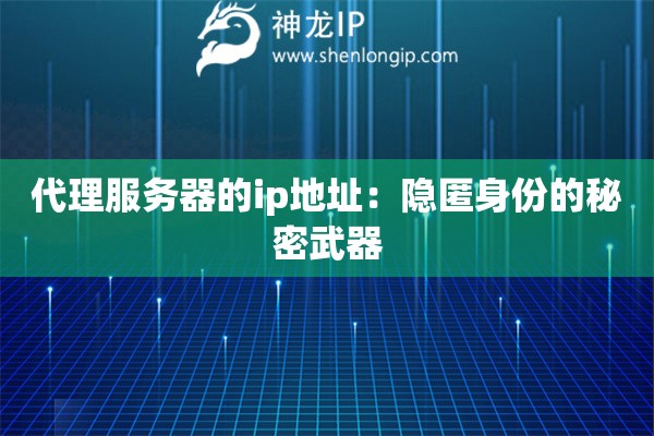 代理服务器的ip地址：隐匿身份的秘密武器