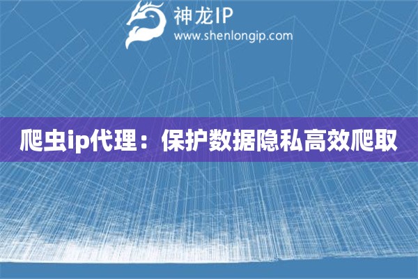 爬虫ip代理：保护数据隐私高效爬取