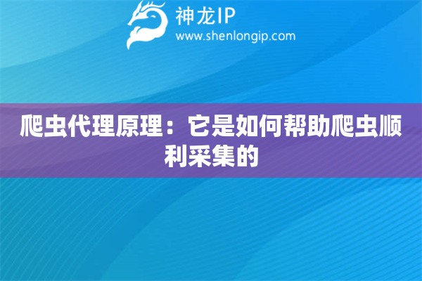 爬虫代理原理：它是如何帮助爬虫顺利采集的