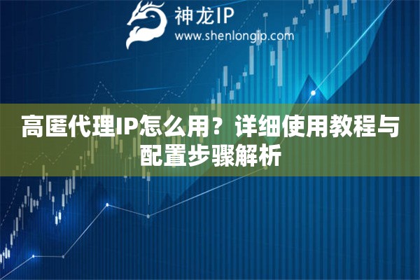 高匿代理IP怎么用？详细使用教程与配置步骤解析