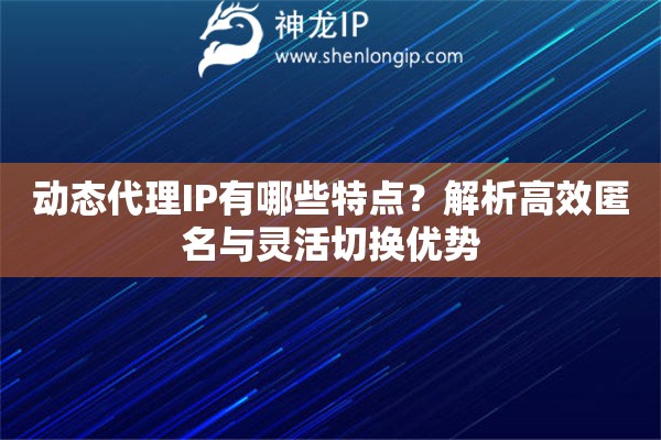 动态代理IP有哪些特点？解析高效匿名与灵活切换优势