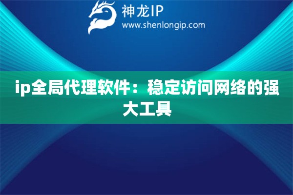 ip全局代理软件：稳定访问网络的强大工具