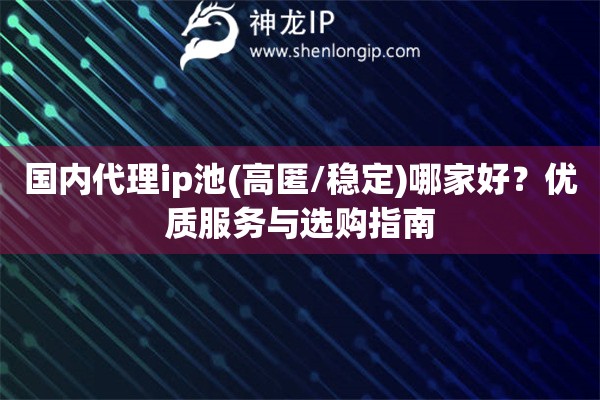 国内代理ip池(高匿/稳定)哪家好？优质服务与选购指南