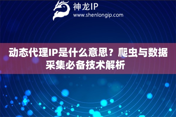 动态代理IP是什么意思？爬虫与数据采集必备技术解析  