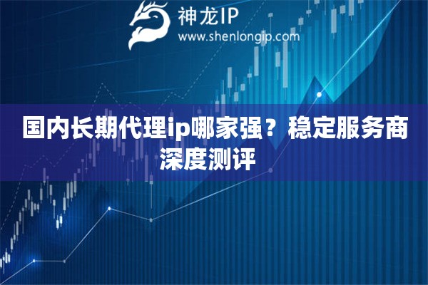 国内长期代理ip哪家强？稳定服务商深度测评  