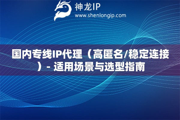 国内专线IP代理（高匿名/稳定连接）- 适用场景与选型指南