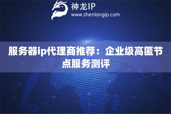 服务器ip代理商推荐：企业级高匿节点服务测评