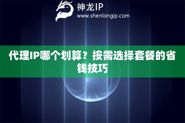 代理IP哪个划算？按需选择套餐的省钱技巧