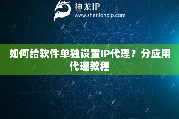 如何给软件单独设置IP代理？分应用代理教程