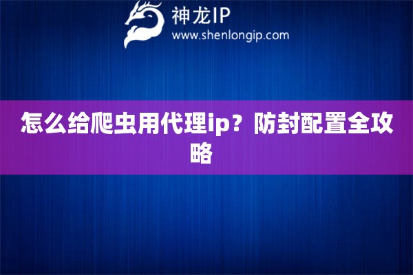 怎么给爬虫用代理ip？防封配置全攻略  