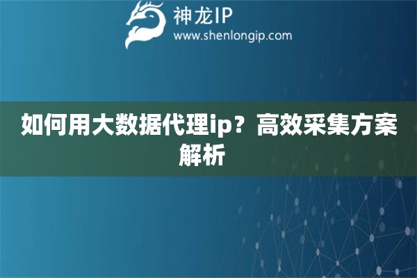 如何用大数据代理ip？高效采集方案解析  