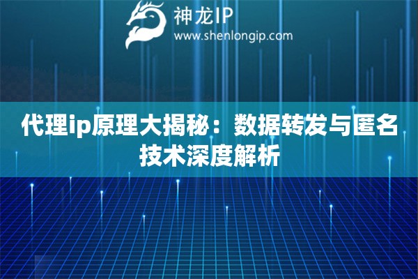 代理ip原理大揭秘：数据转发与匿名技术深度解析
