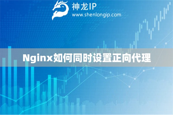 Nginx如何同时设置正向代理
