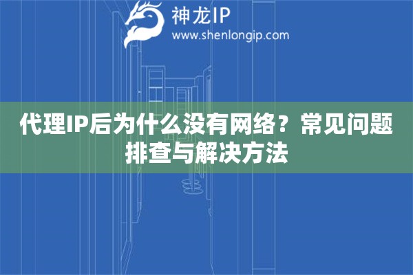 代理IP后为什么没有网络？常见问题排查与解决方法