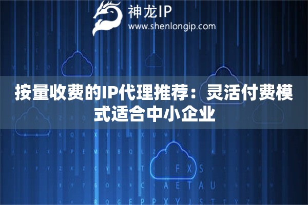 按量收费的IP代理推荐：灵活付费模式适合中小企业