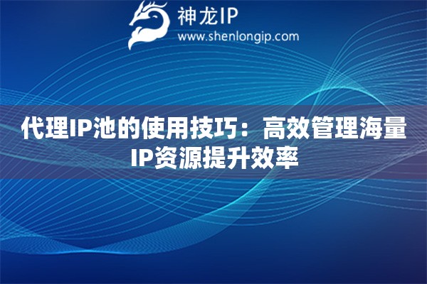 代理IP池的使用技巧：高效管理海量IP资源提升效率