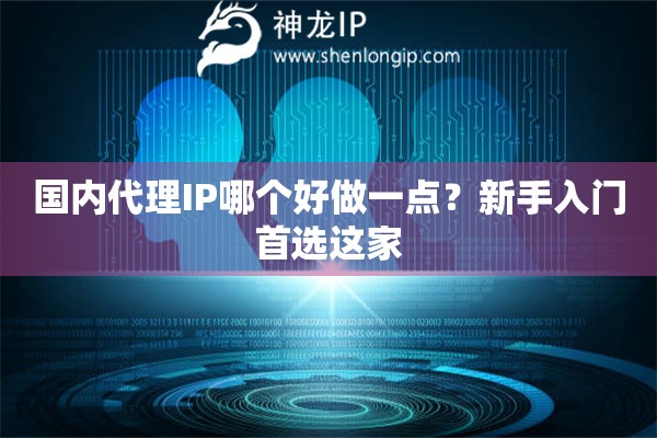 国内代理IP哪个好做一点？新手入门首选这家