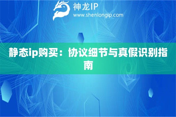 静态ip购买：协议细节与真假识别指南