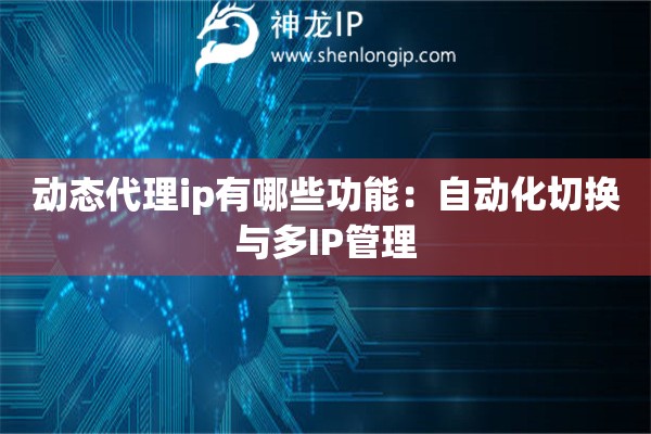 动态代理ip有哪些功能：自动化切换与多IP管理