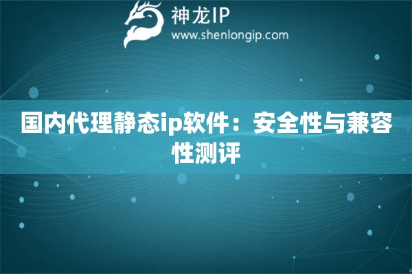 国内代理静态ip软件：安全性与兼容性测评