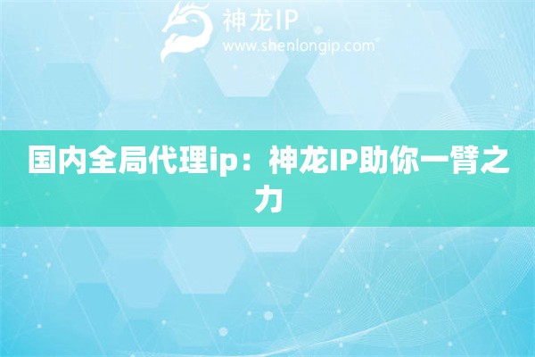 国内全局代理ip：神龙IP助你一臂之力