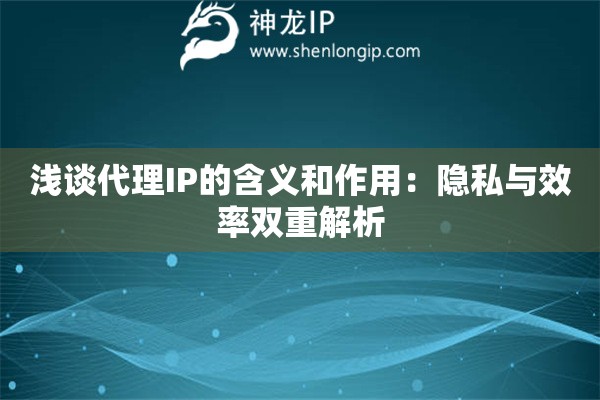 浅谈代理IP的含义和作用：隐私与效率双重解析