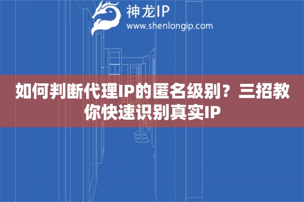 如何判断代理IP的匿名级别？三招教你快速识别真实IP