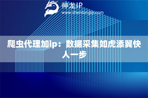 爬虫代理加ip：数据采集如虎添翼快人一步