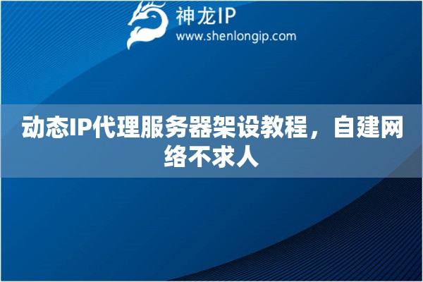 动态IP代理服务器架设教程，自建网络不求人