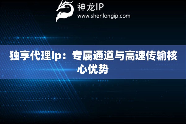 独享代理ip：专属通道与高速传输核心优势