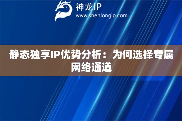 静态独享IP优势分析：为何选择专属网络通道