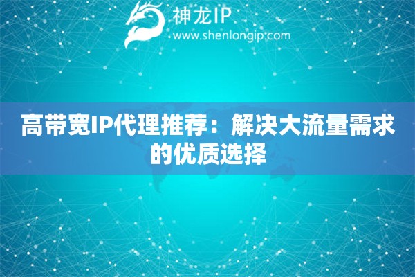 高带宽IP代理推荐：解决大流量需求的优质选择