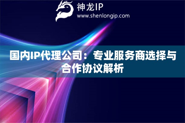 国内IP代理公司：专业服务商选择与合作协议解析