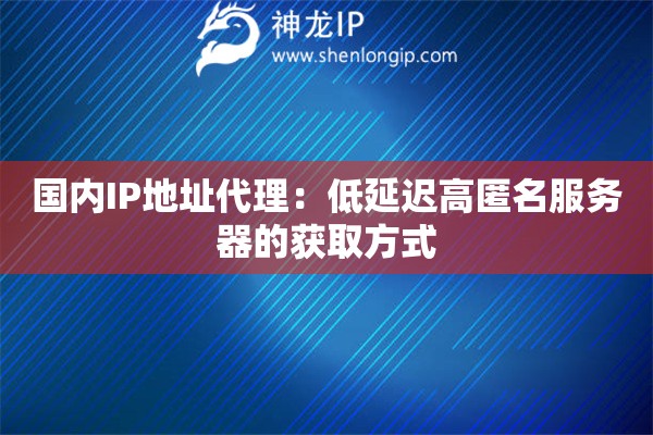 国内IP地址代理：低延迟高匿名服务器的获取方式