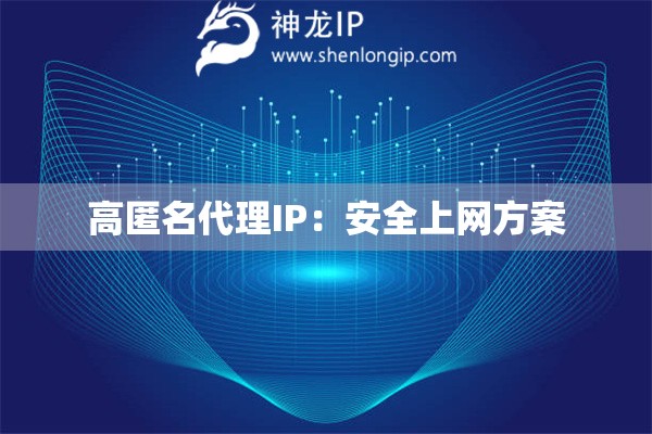 高匿名代理IP：安全上网方案