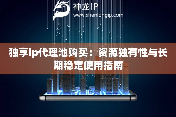 独享ip代理池购买：资源独有性与长期稳定使用指南