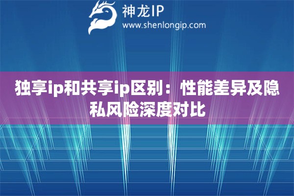 独享ip和共享ip区别：性能差异及隐私风险深度对比