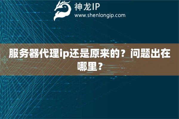 服务器代理ip还是原来的？问题出在哪里？